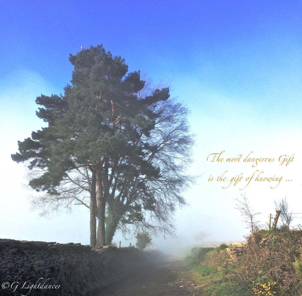 You are currently viewing Weekly Quote – 22.10.20